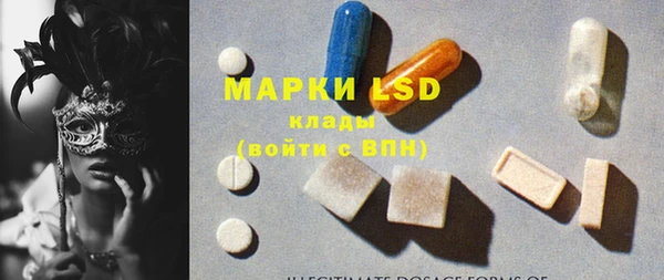 индика Пестово