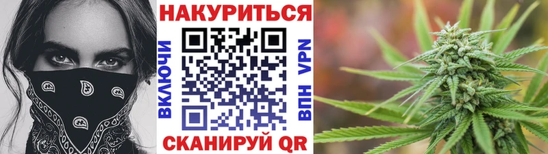 Канабис план Завитинск